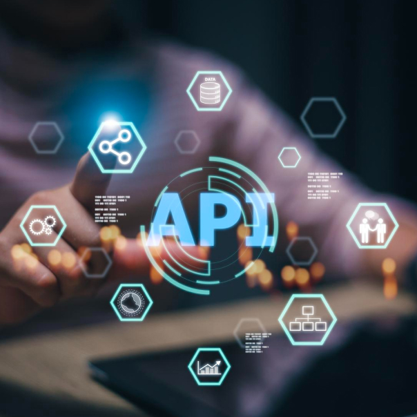 Custom API Development