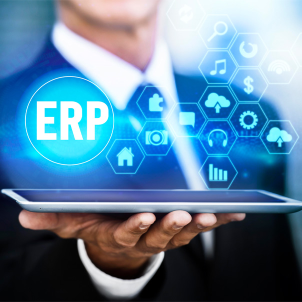 ERP Consulting